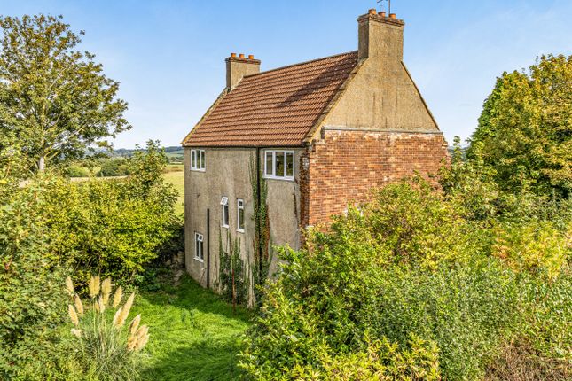 Newgate Farmhouse,, Kittwhistle, Dorset photo 4