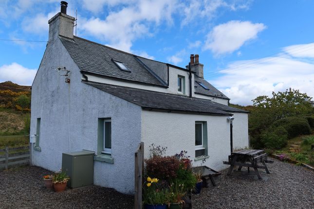 Drumfearn, Kyle photo 4