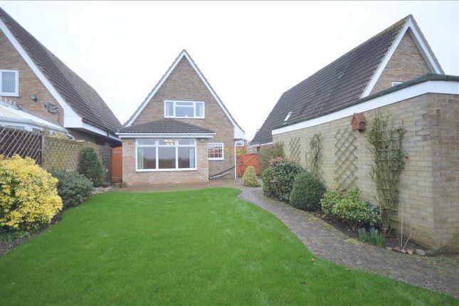 Detached house to rent in Mayne Crest, Springfield, Chelmsford