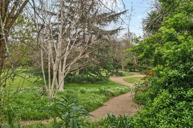 8 Leonard Court, Edwardes Square, London photo 3