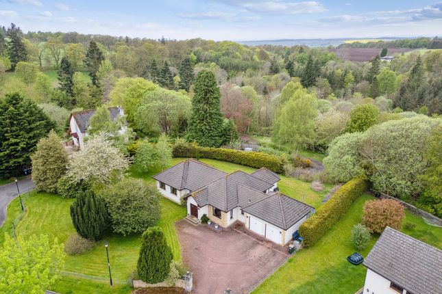 Thumbnail Bungalow for sale in Yew Lane, Forgandenny, Perthshire