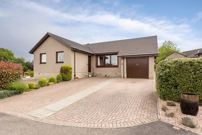 Thumbnail Bungalow for sale in Mcculloch Drive, Forfar, Angus