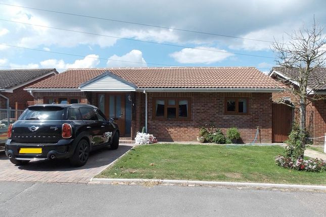 Detached bungalow to rent in Kings Barn Lane, Steyning