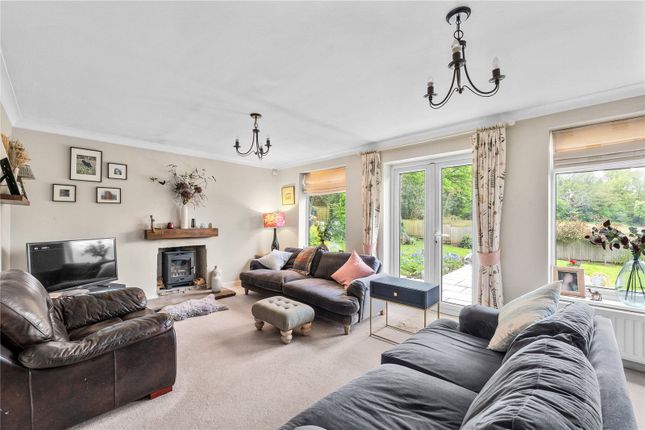 12, Marwell, Kent photo 3