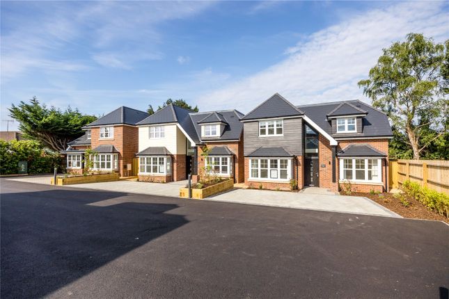 Thumbnail Detached house for sale in Oaks Drive, Ringwood, Hampshire