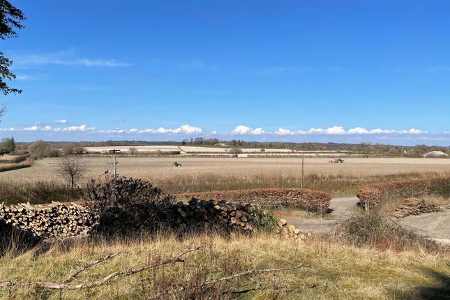 View From Plot