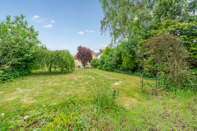 Melrose Cottage, Harrow Green, Bury St. Edmunds photo 2