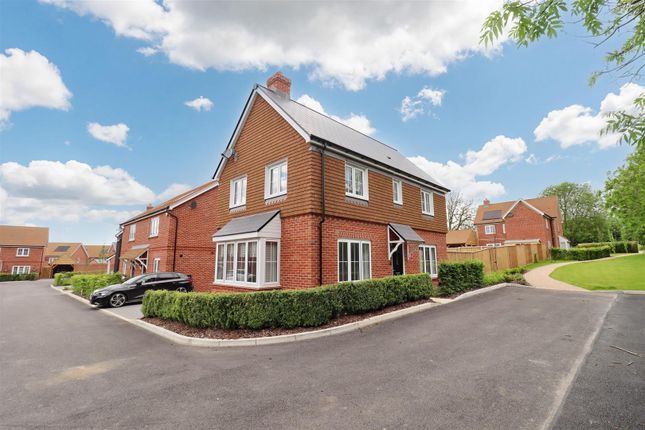 Thumbnail Detached house for sale in Hockley Avenue, Braintree
