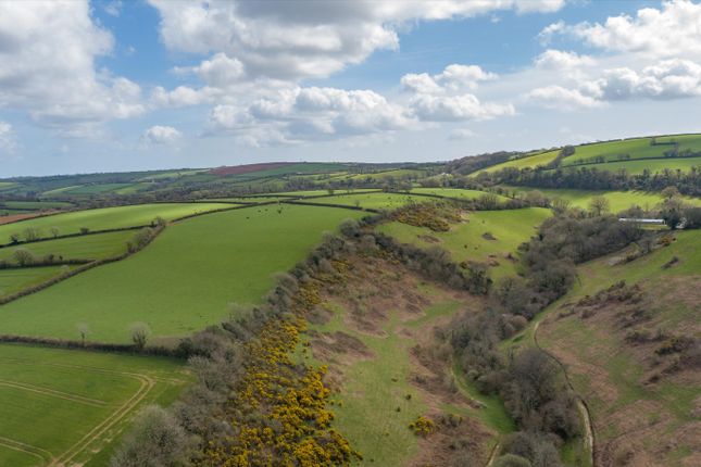 Land for sale in Halwell, Totnes, Devon