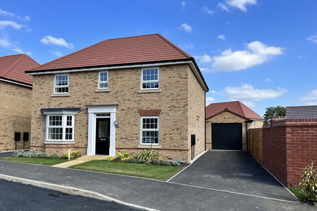 Thumbnail Detached house for sale in "Bradgate Special" at Blisworth Road, Barton Seagrave, Kettering