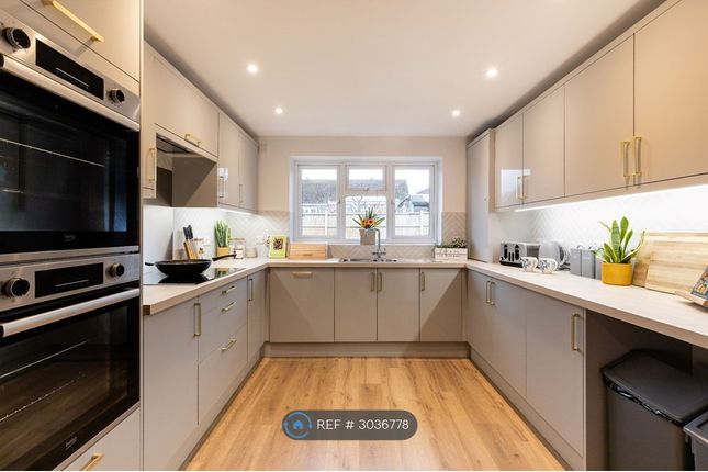 Albert Road, Wellington, Telford photo 3
