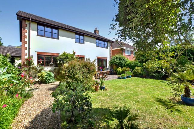 11, Isca Road, Exmouth photo 3