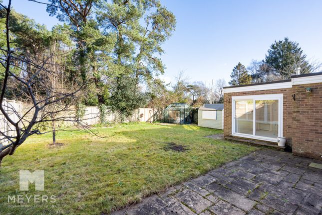 8a, Ivy Close, Ringwood photo 2