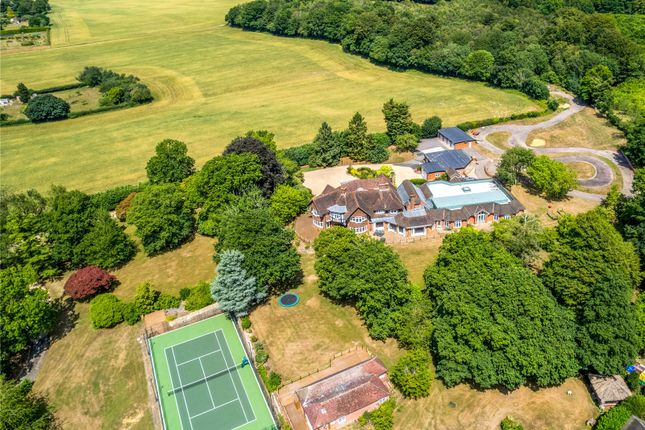 Aerial Shot