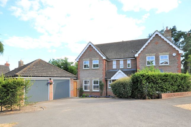 Thumbnail Detached house for sale in Codmore Hill, Pulborough, West Sussex