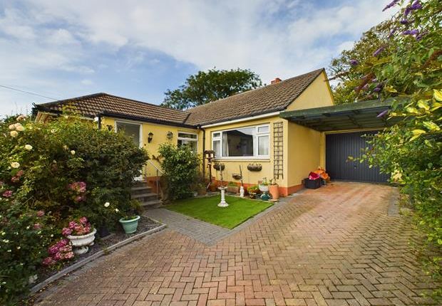 Thumbnail Detached bungalow to rent in Orchard Close, Poughill