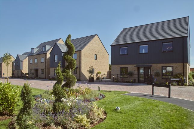 252242 Kelvedon  -  (152)_Edit.Jpg