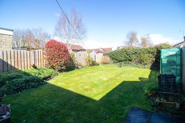 48 Dronfield Road, Sheffield photo 4