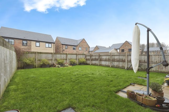 9, Swan Road, Doncaster photo 4