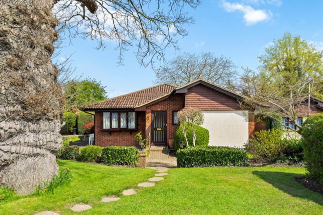 Thumbnail Semi-detached bungalow to rent in Oakmead Green, Epsom