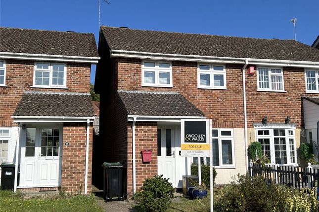 The Property