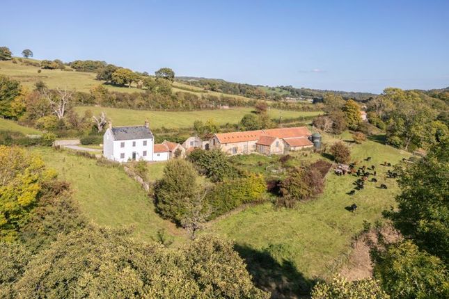 Beckside Farm, Barnards Lane, Whitby photo 3