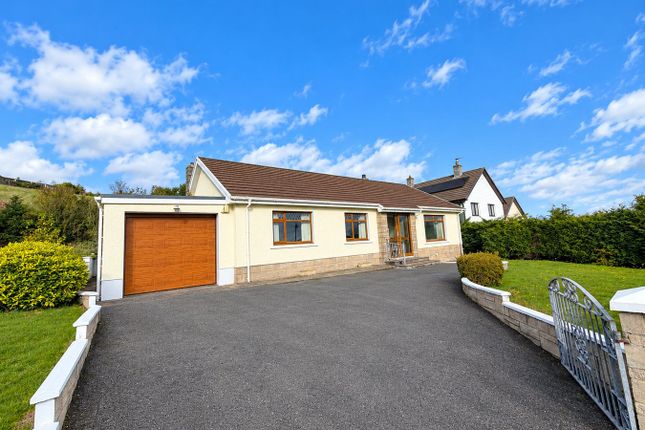 Maestir Road, Lampeter photo 2