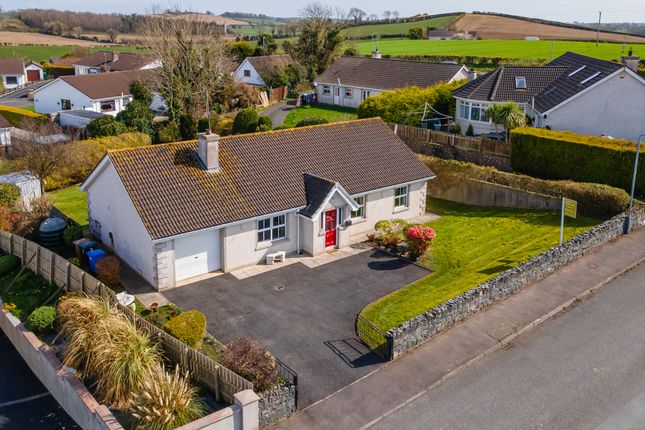 Thumbnail Bungalow for sale in 3 Vianstown Heights, Downpatrick, County Down