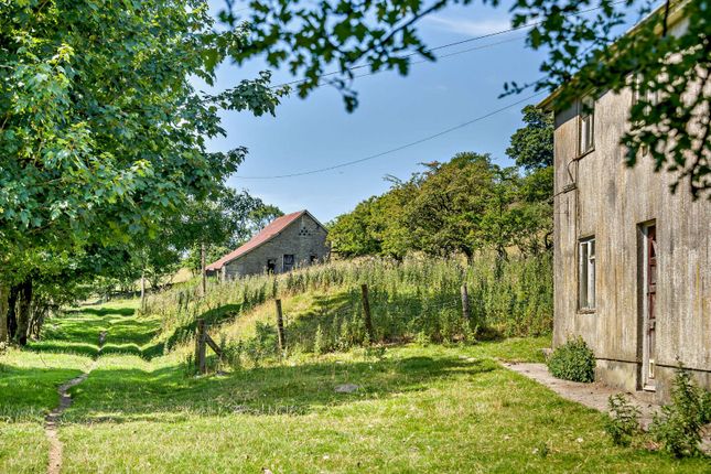 Lower Firley,, Llangunllo, Powys photo 2