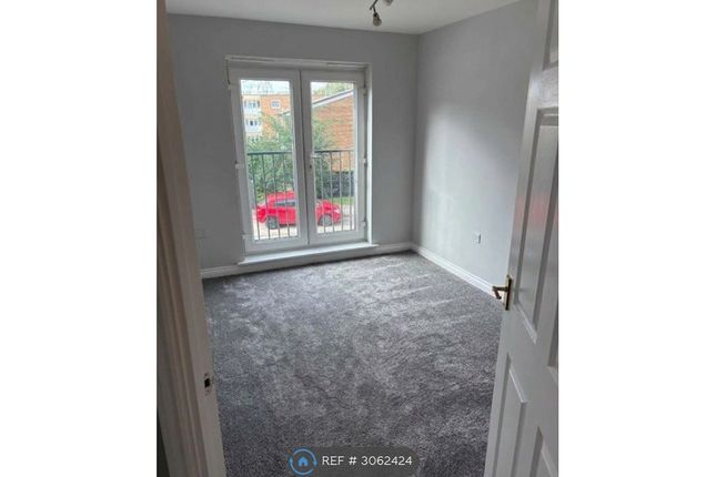 The Avenue, Wednesbury photo 2