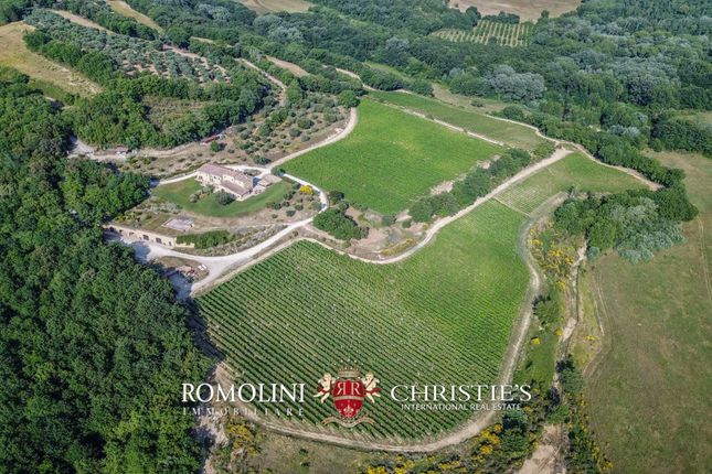 Thumbnail Farm for sale in Trequanda, Tuscany, Italy