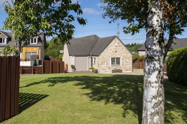 Thumbnail Detached house for sale in Boness Road, Polmont, Falkirk