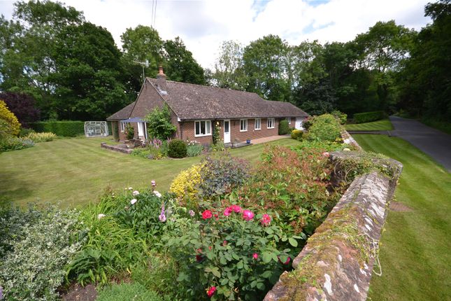 Thumbnail Bungalow for sale in Baynards, Rudgwick