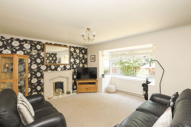 29 Tynker Avenue, Sheffield photo 3