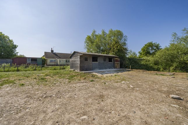 Stables