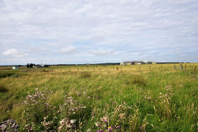 Land for sale in Main Street, Keiss, Wick