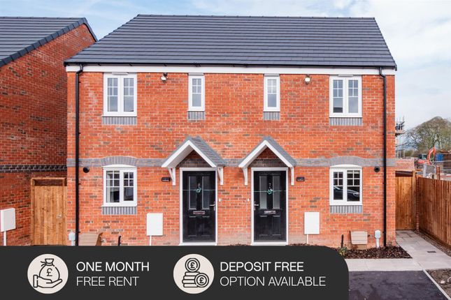 Alnmouth - 1Mfr &amp; Deposit Free.Png