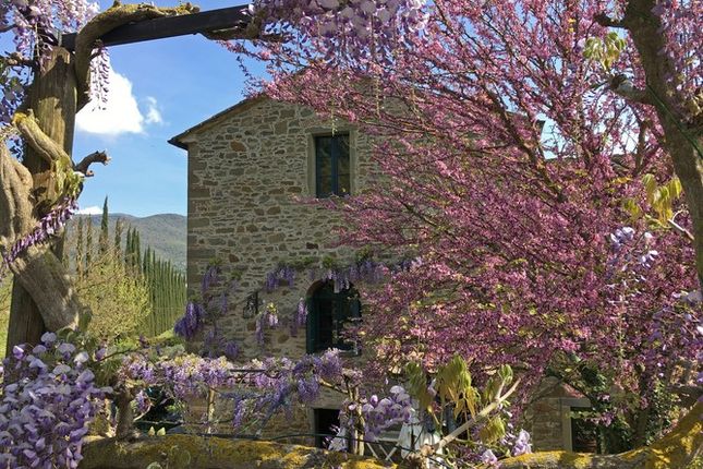 52044 Cortona, Province Of Arezzo, Italy, 11 bedroom property for sale