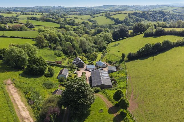 Edbury Farm, Tiverton photo 2