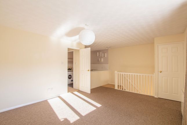 Loris Court, Cambridge photo 3