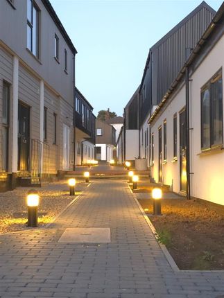 Night Shots 2.Jpg