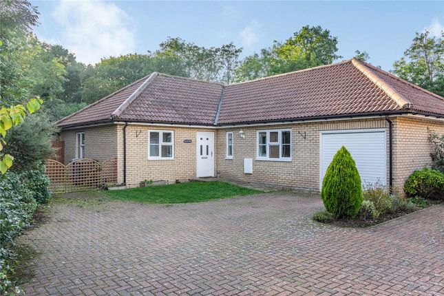 Thumbnail Bungalow for sale in Withindale Lane, Long Melford, Suffolk