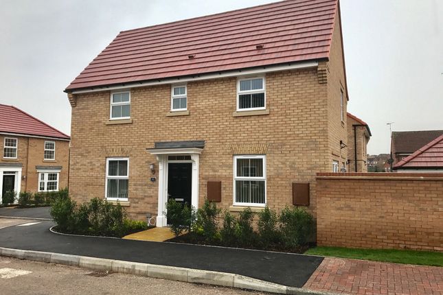 Detached house to rent in Red Admiral Road, Gateford, Worksop