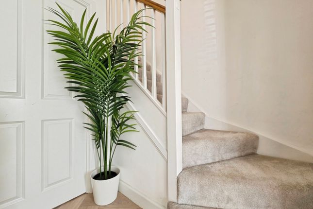 14, Zurich Avenue, Biddulph photo 4