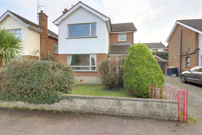 8, Roseville Avenue, Bangor photo 2
