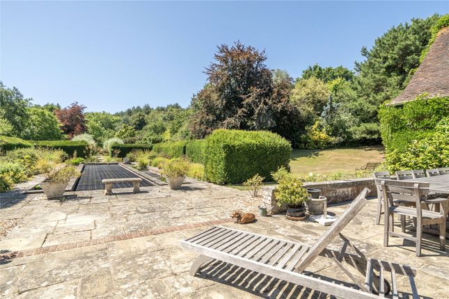 View To Pond
