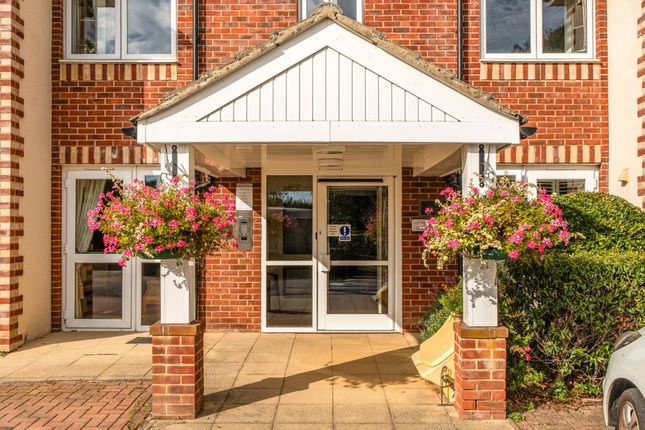 12 St. Richards Lodge, Chichester photo 4