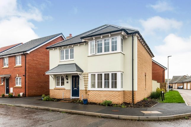 Thumbnail Detached house for sale in Mabry Way, Seaton, Devon