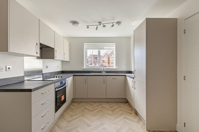 4 hockey street - elmslie, Leaf Living at Rushlake Meadows, Willingdon, BN20, Willingdon photo 2