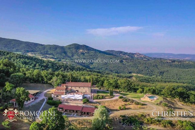 Leisure/hospitality for sale in Grosseto, Tuscany, Italy